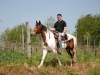 32-50-km-di-romagna-250413-castelbolognese-129