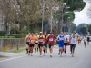 37-maratona-del-lamone-russi-07042013-280