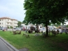 28-sagra-delle-alfonsine-24052012-012