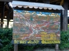 trail-delle-f-oreste-casentinesi-badia-prataglia-09092012-032