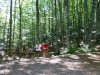 trail-delle-f-oreste-casentinesi-badia-prataglia-09092012-209