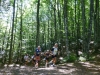 trail-delle-f-oreste-casentinesi-badia-prataglia-09092012-223