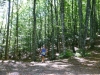 trail-delle-f-oreste-casentinesi-badia-prataglia-09092012-229