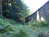 trail-delle-f-oreste-casentinesi-badia-prataglia-09092012-250